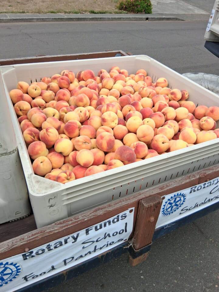 Generous South Oregon Coast Rotary Clubs Donate Food to Local Food Bank 4 20250826 143141