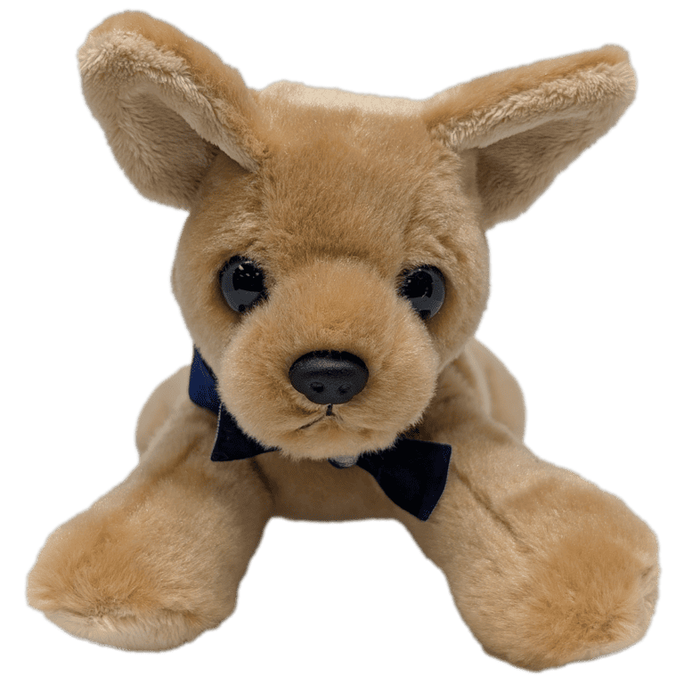 Rotary District 5110 plushy district dog