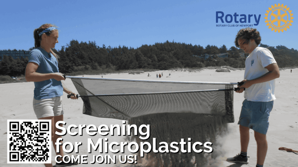 Looking for a Program? 2 NEWPORTmicroplasticsimage1