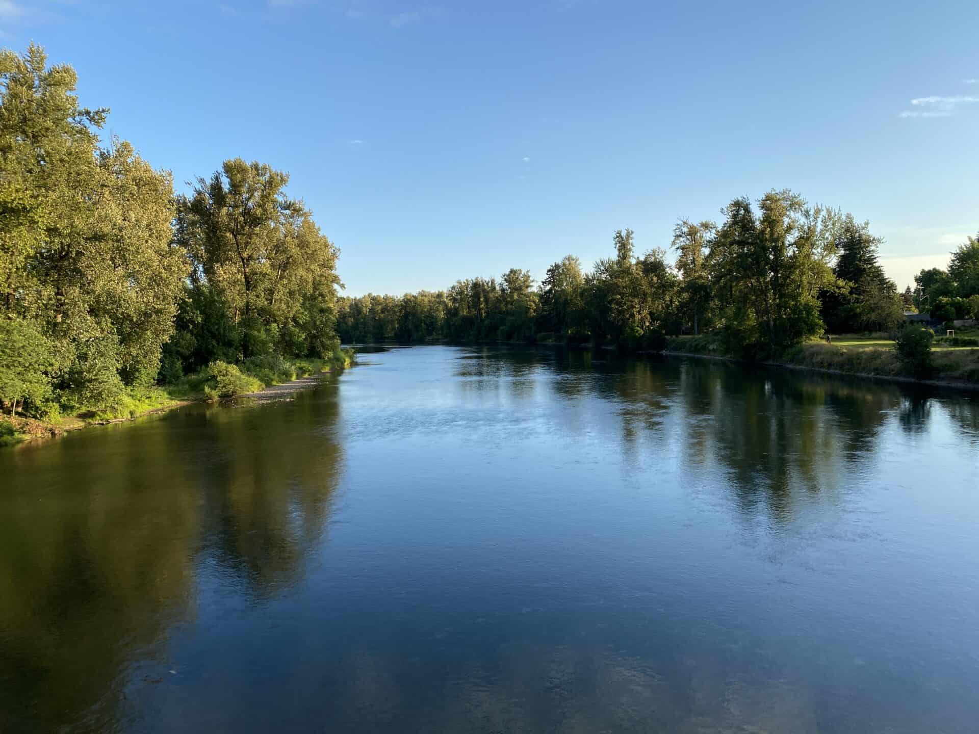 Tall green trees on both sides of the riverbank reflect on the water on a sunny day on the Willamette River.